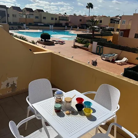 Delfin Azul Daire Corralejo